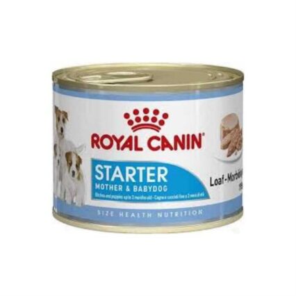 Royal Canin Starter Mousse Yavru Köpek Konservesi 195 Gr